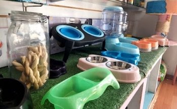 Veterinaria Animalitos