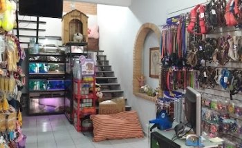 POLICLINICA VETERINARIA