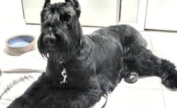 Casa Del Medico Veterinario Y Zootecnista Alvarez La