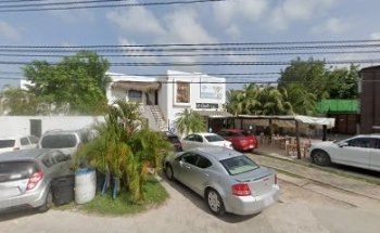 Master Pet Shop Cancún