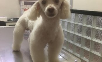 Veterinaria San José