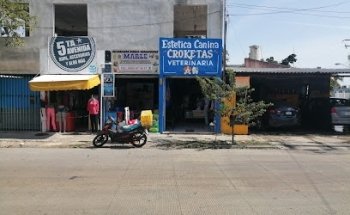 Veterinaria Croketas