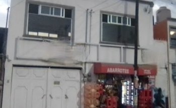 Maxlim veterinaria y estética canina