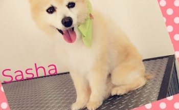 Veterinaria y Estética Canina La Perruquería