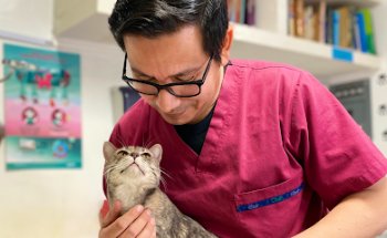 Monzalvo Hospital Veterinario Morelos