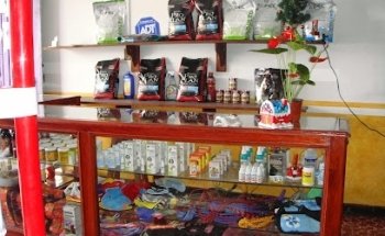 Ramses Veterinary Medical Clinic