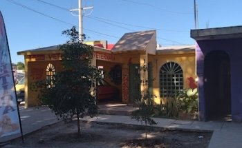 Veterinaria Pets Land