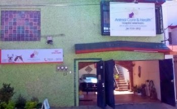 Veterinary Hospital Animal Care and Health