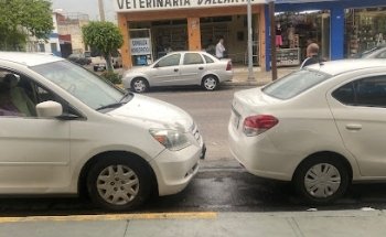 Veterinaria Vallarta