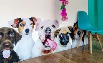 VITAVET Centro Veterinario