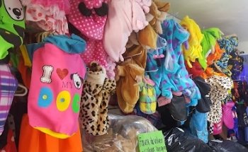 Cuerpo Médico Veterinario