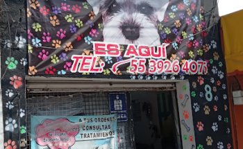 Veterinaria Laureles