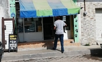 Veterinaria 3 potroñillos