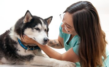 Cervantino Veterinaria