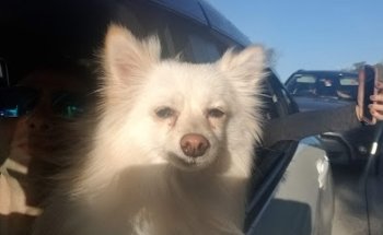 Clínicas Doctor Alexander