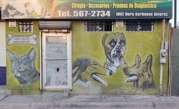 Veterinaria San Martin