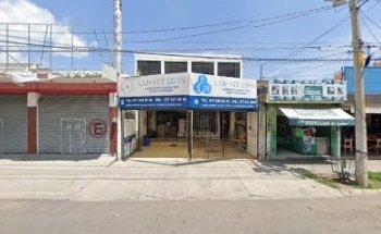 VETERINARIA ROSS - VET