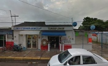 Clinica Veterinaria Animax