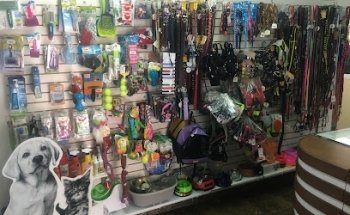 Veterinaria Can Y Cat