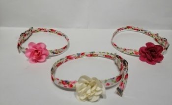 Clínica y Estética Canina 