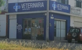 Clínica Veterinaria Jesús María
