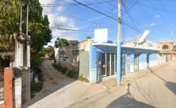 Veterinaria y Estetica Canina 