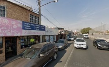 Veterinary and Medical Aesthetic Clinic Pet Dog