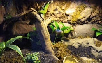 BioVeterinaria Wild Pets