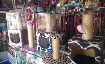 CENTRO DE SALUD ANIMAL