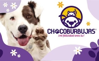 Veterinaria CHOCOBURBUJAS