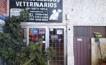Servicios Medicos Veterinarios