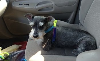 Veterinaria Esquivel