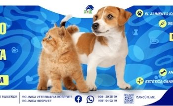 VETERINARY CLINIC HOSPIVET