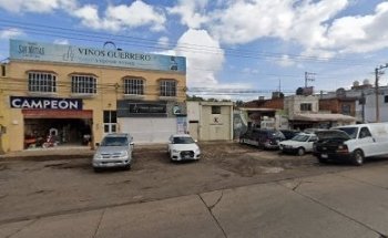 Veterinaria Campeón