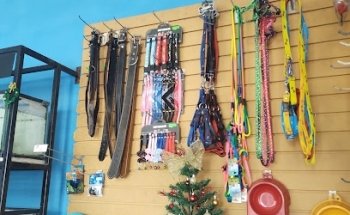 Clínica Veterinaria y Acuario Doctor Dante