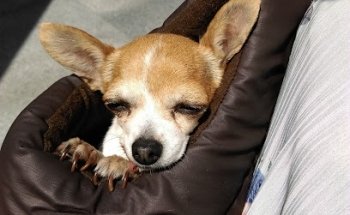 Animal Equilibrum Vet Clinic