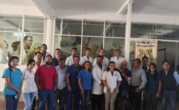 FMVZ Veterinary Hospital - UMA