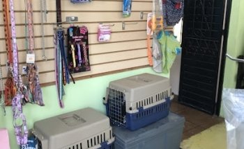 Veterinaria Doc & Dog 2