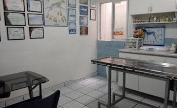 San Francisco Veterinary Clinic