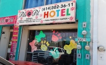 Estética Canina Pels-Pet