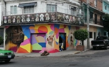 Zamarripa Servicio Veterinario