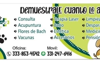 CONSULTORIO COUNTRY Pets