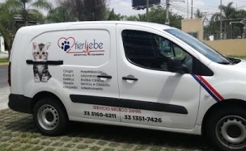 HOSPITAL VETERINARIO TIERLIEBE