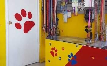 MASCOTITAS CLINICA VETERINARIA