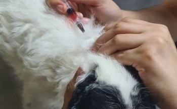 Veterinaria La Hacienda