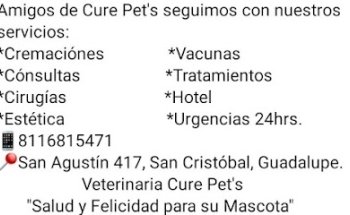 VETERINARIA CURE PET’S