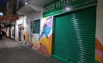 Consultorio Veterinario Jo