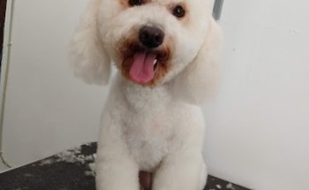 Centro Veterinario Tlaixpan