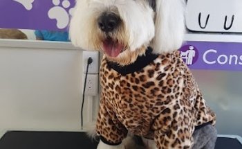 NUSA(Nutrición y Salud Animal) Centro Médico Veterinario