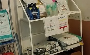 Consultorio Animal Central